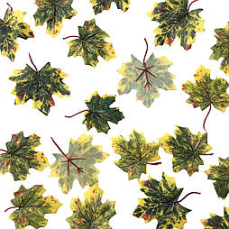 Штучні листя клена жовто - зелені c хвостиком 50 шт в уп
