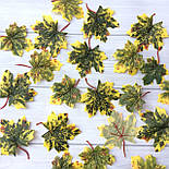 Штучні листя клена жовто - зелені c хвостиком 50 шт в уп, фото 2