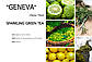 Аромадиффузор парфумований з ароматом "GENEVA" Sparking Green Tea - Kot'e для дому, офісу, фото 2