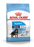 Royal Canin (Роял Канін) Maxi Puppy - Сухий корм для цуценят від 2 до 15 місяців 4 кг