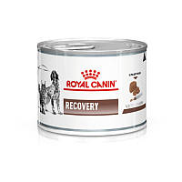 Royal Canin (Роял Канин) Recovery - Ветеринарная диета для собак в период восстановления после анорексии