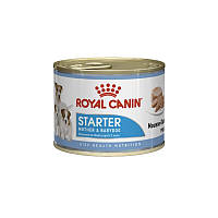 Royal Canin (Роял Канін) Starter Mother & Babydog Mousse - Мус для цуценят до 2-х місяців