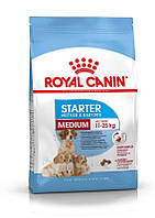 Royal Canin (Роял Канин) Medium Starter Mother & Babydog - Сухой корм для самок и щенков до 2-х месяцев 1 кг