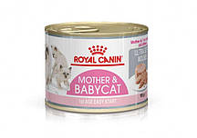 Royal Canin (Роял Канін) Babycat Instinctive - Консервований корм для кошенят з моменту відлучення до 4 місяців (мус)