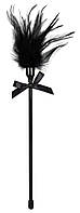 Пір'їнка чорного кольору