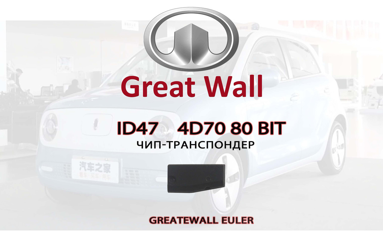 4D70 80 bit підготовка чипа для прописування GreateWall EULER (на базі XT27A)