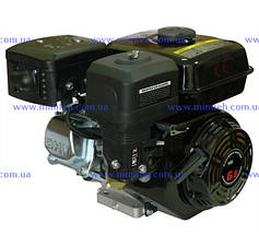 Запчастини до двигуна 168/170 (бензин)