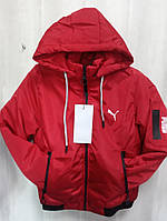 Куртка детская красного цвета подростковая ветровка с логотипом Puma
