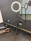 Кільцева LED лампа (без креп.тел.) (керівн.на проводі) (20см) | Кільцевої світло | Світлова лампа кільце, фото 5