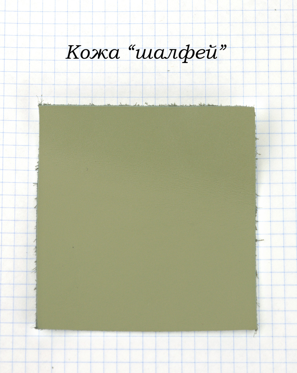 Шкіра "Шавлія"