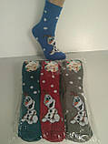 Шкарпетки дитячі махрові "Olaf" (Зимові) Варос, фото 3
