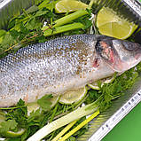 Контейнер алюмінієвий 2000мл SP 88L 253х187х54 мм 50шт з фольги без кришки, фото 4