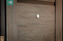 Двері вхідні металеві Міністерство дверей ПУ-161 Царга шале 960*2050 права, фото 2