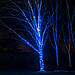 Гірлянда Вулична нитка | String Light Prof | 10 метрів | 100 led, фото 3
