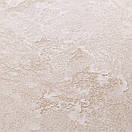 Декоративна штукатурка оксамит ASSIRIA DECO TERRA (Срібна база) 1кг, фото 5