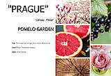 Аромадиффузор "PRAGUE" – Pomelo Garden - Kot'e, фото 2