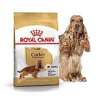 Royal Canin (Роял Канин) Cocker Adult Сухой корм для собак породы кокер-спаниель 3 кг