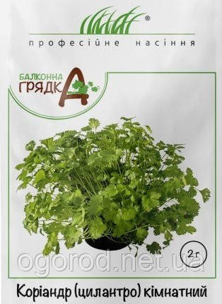 Коріандр (Кінза) кімнатний Wing Seed Голландія 1 грам