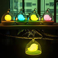 Ночник детский birdcage lamp LED Night Lamp Mini