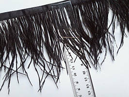Пір’я страуса на тасьмі чорне 14-15 см.  Ціна за 50 сантиметрів