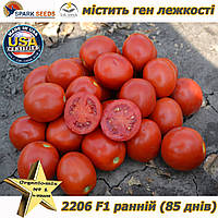 Насіння, томат 2206 F1 (ранній, ніжний) ТМ "Lark Seeds (США), паковання 500 насіння
