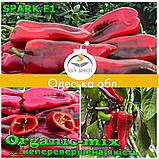 СПАРК F1/SPARK F1, насіння перцю тип Капія, Lark Seeds (США), 500 насіння, фото 2