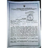 Дезінфікуючий засіб Антисептик Септолин гель для дезінфекції рук 1 л Дезінфектор для обробки шкіри, фото 6