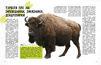 Дитяча книга " Світ і його таємниці: Життя лісу" 740002 укр. мовою, фото 3