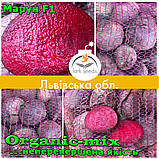 Насіння, буряк МАРУН F1/MAROON F1 ТМ Spark seeds (США) проф. пакет 25000 насіння, фото 4