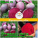 Насіння, буряк МАРУН F1/MAROON F1 ТМ Spark seeds (США) проф. пакет 25000 насіння, фото 5
