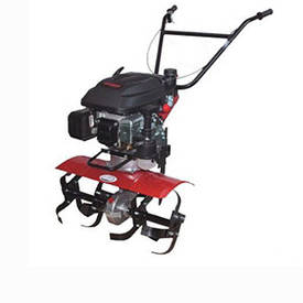 Запчастини для культиваторів з двигуном Briggs & Stratton