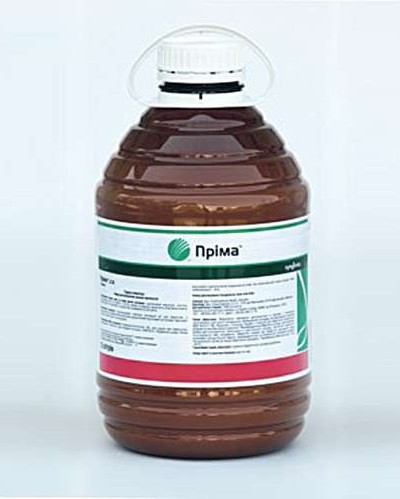 Пріма 5л Сингента, гербіцид для пшениці, гербіцид для кукурудзи