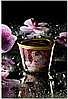 Масажне масло свічка MASSAGE CANDLE SPARKLING STRAWBERRY WINE, 170 мл, фото 5