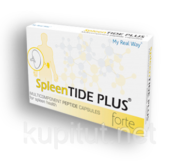 SpleenTIDE PLUS forte (для підтримки функції селезінки), фото 1