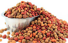 Сухий корм для собак