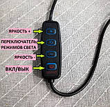 Кольцевая LED Лампа 26 см.+ Штатив 2 метра Для Профессиональной Съемки, фото 4