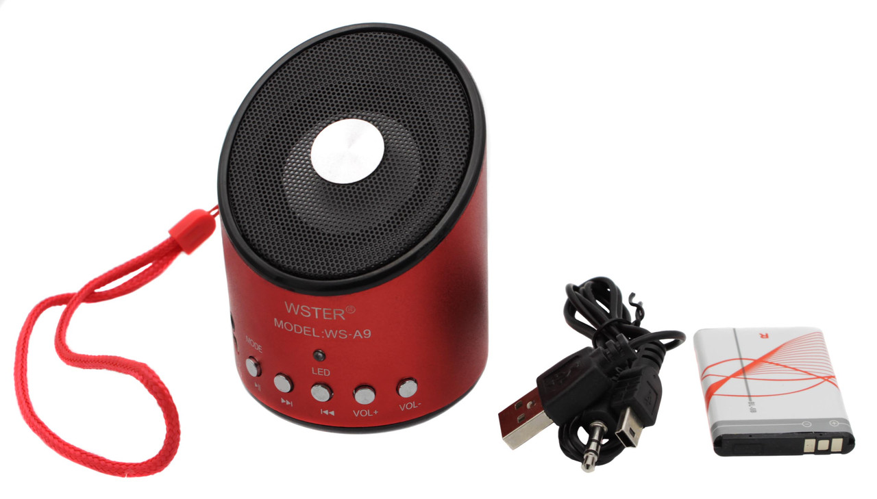 Портативная колонка WSTER WS-A9