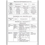 ЗНО 2024 Історія України Таблиці та схеми Авт: Земерова Т. Вид: Підручники і Посібники, фото 4