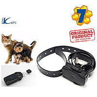 LKGPS, LK120  Ошейник с GPS для КОШЕК и Маленьких Собак Tracker Трекер Маячек Вес 28гр  Защита IP67
