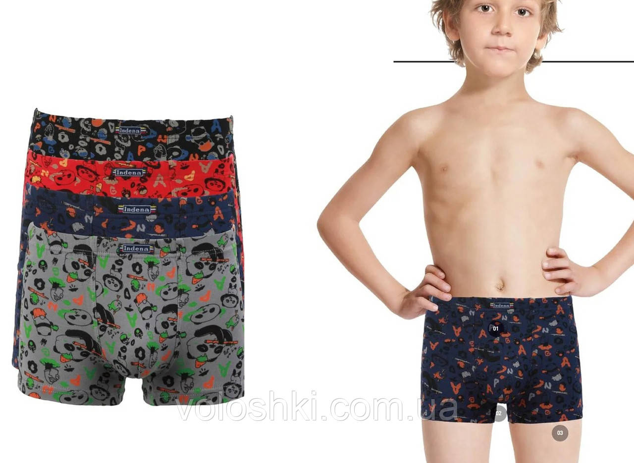 Боксери труси для хлопчика, 2 шт., Indena, фото 1