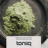 Toniiq, Кверцетин високої чистоти (95 відсотків), 500 мг, 120 капсул, фото 6