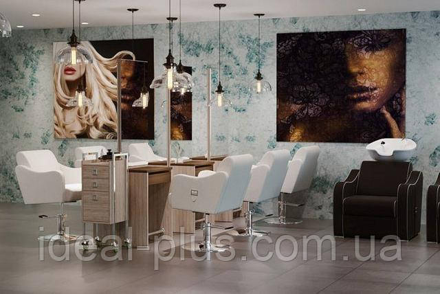 Парикмахерское Кресло для клиентов салона красоты кресло парикмахера Бэлт (Belt) Парикмахерские кресла Польша в Украине