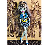 Лялька Monster High Frankie Stein Picture Day Френкі Штейн День Фото, фото 2