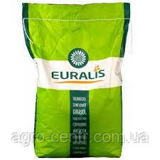 Ceмeнa Пoдcoлнeчникa-EC Hoвамиc КЛ, фото 1