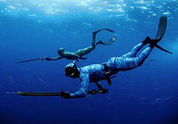 Спорядження для підводного полювання