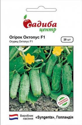 Насіння огірків Октопус F1 20 шт, Syngenta, фото 1
