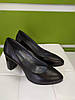 STTOPA Розміри 33,34,35,36,41,42,43,44. Туфлі великих розмірів шкіряні. Каблук 8 см. 151-3344-8 Чорні, фото 2