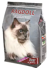 Ragdoll