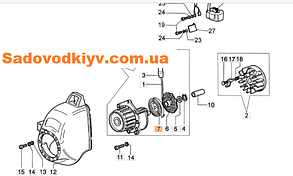 Поворотна пружина стартера для бензокоси Oleo-Mac Sparta 25, 25tr, 25d, 25s (004000132R)