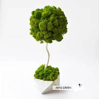Дерево зі стабілізованого моху, топіарій Fresh Wasabi New 30 cm, декор для дому та офісу